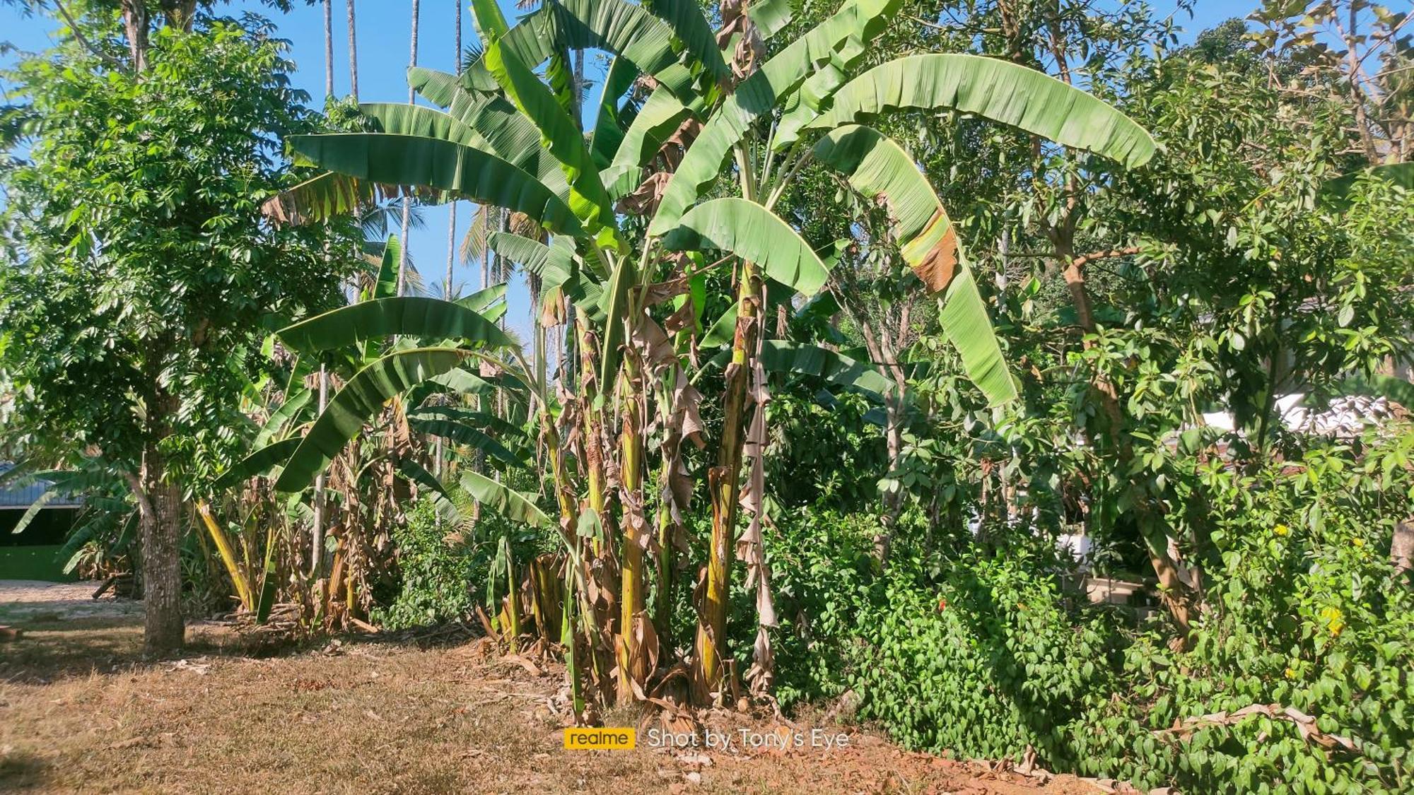 Karapuzha Adventure Park Homestay-By Karapuzha Resorts Meenangadi 외부 사진